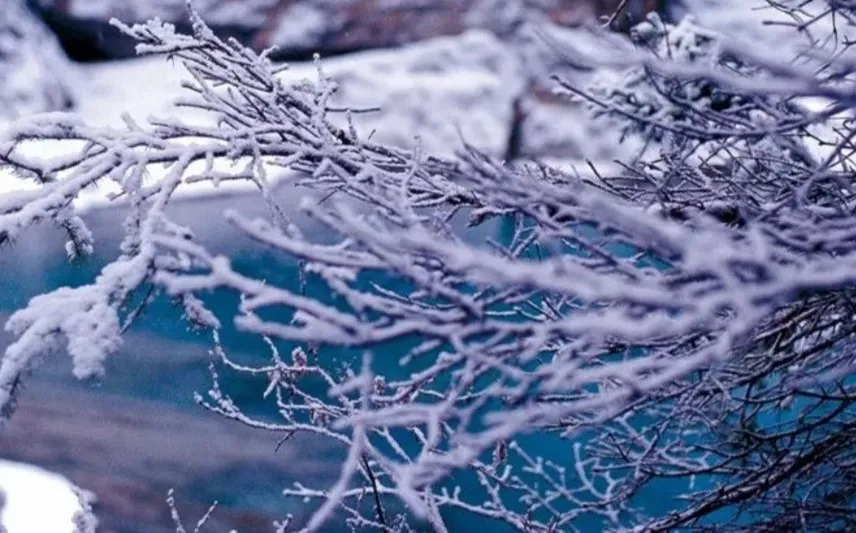 小雪 | 清风一念，落雪为安