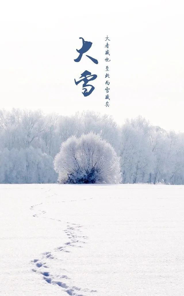 二十四节气 | 大雪：时雪转甚，故以大雪名节